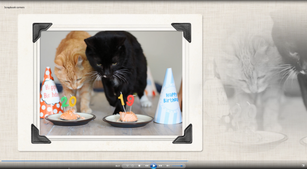 Custom Pet Memorial Video Slideshow Creation