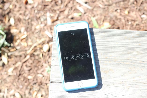 Try this count-up timer app to mark pet loss milestones