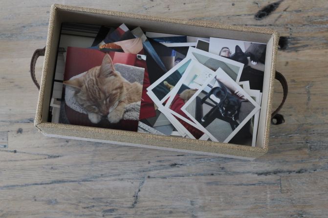 Prepare for pet loss with a lifetime of digital memories