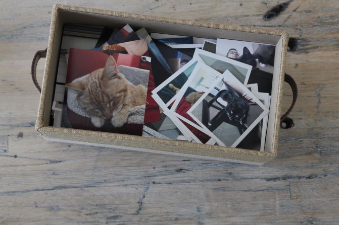 Prepare for pet loss with a lifetime of digital memories 