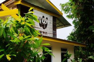 WWF in Sumatra