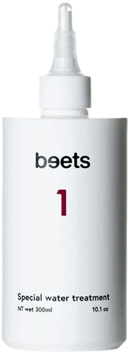 BEETS1-Transparent_uslgcw.webp