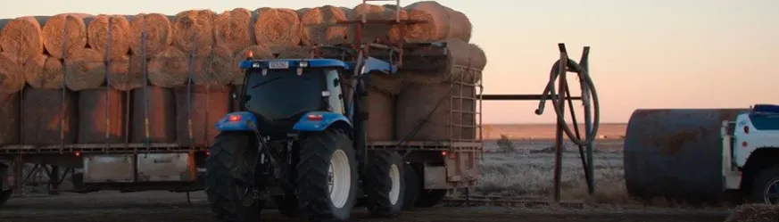 Motorama Green Month: Helping farmers with Buy a Bale featured image