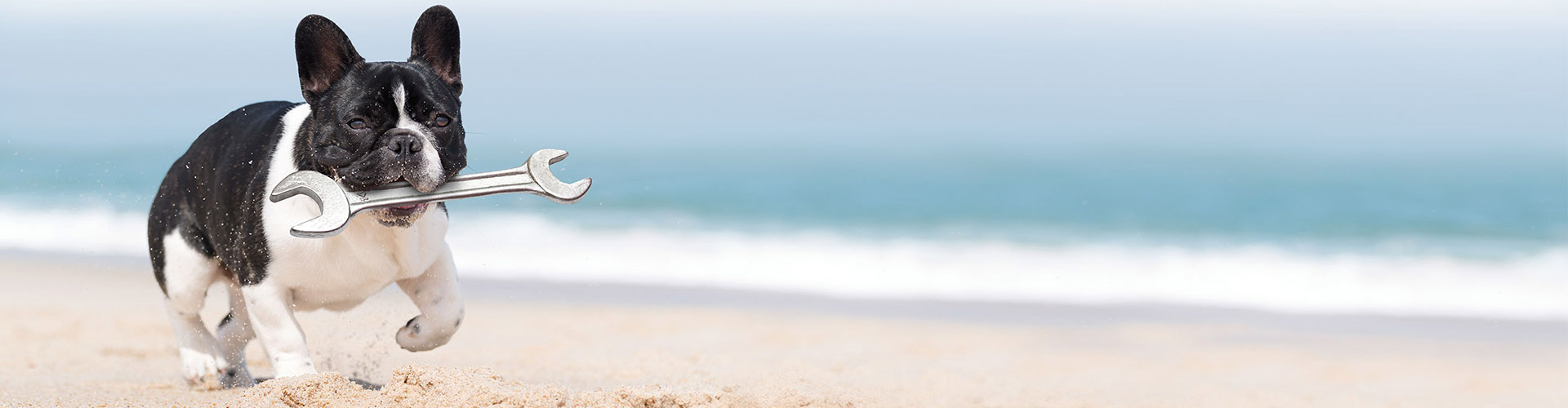 Capped Price Servicing Subaru Darwin