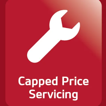 Capped Price Servicing Image