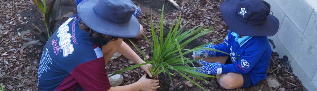 Motorama Toyota making Brisbane a little Greener featured image