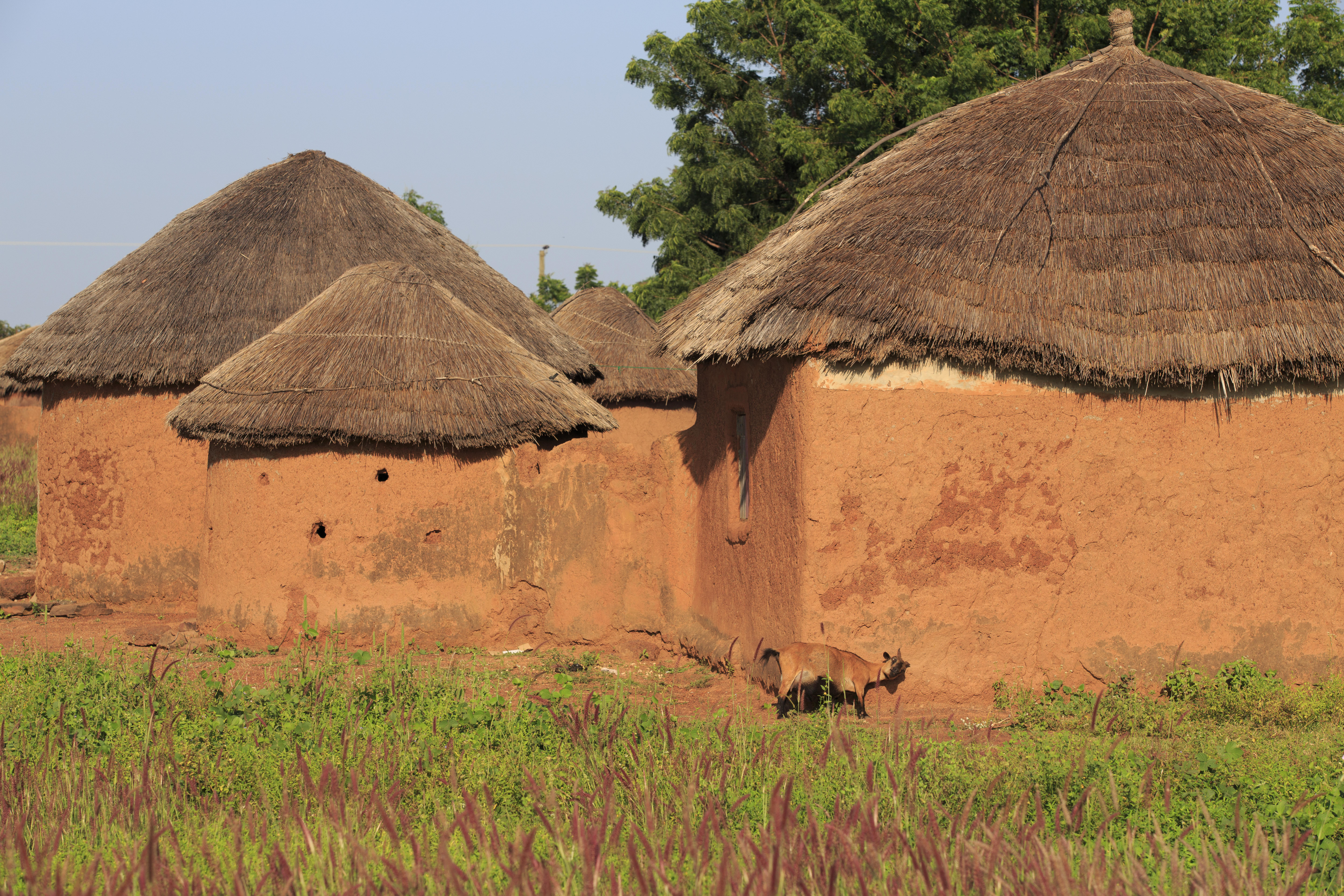 Straw and mud house