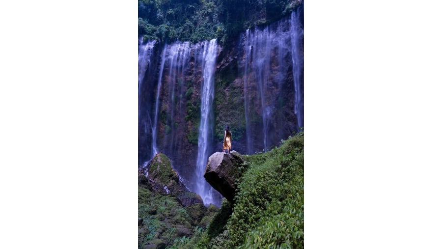 Admire the Madakaripura Waterfall