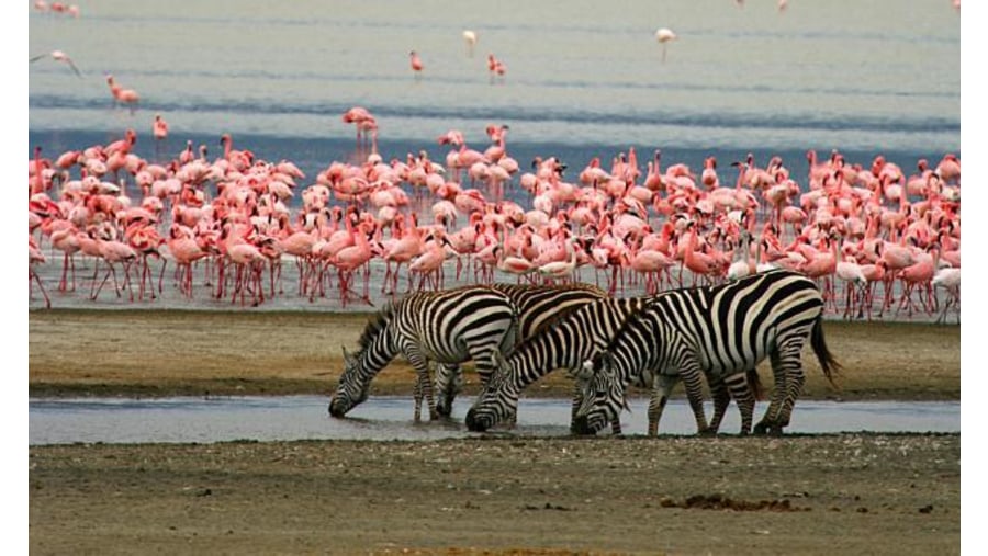 Lake Manyara National Park