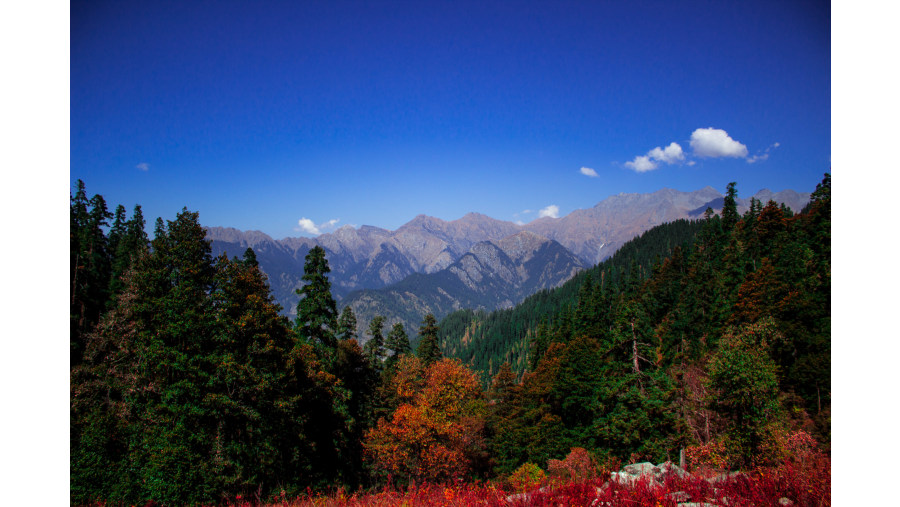 Pakhadi, GHNP Ecozone, Tirthan Valley