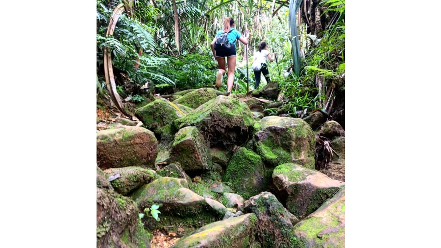 Enjoy the Trek in Halimun Salak National Park