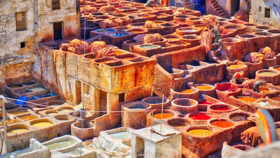 Tannery- Fez city