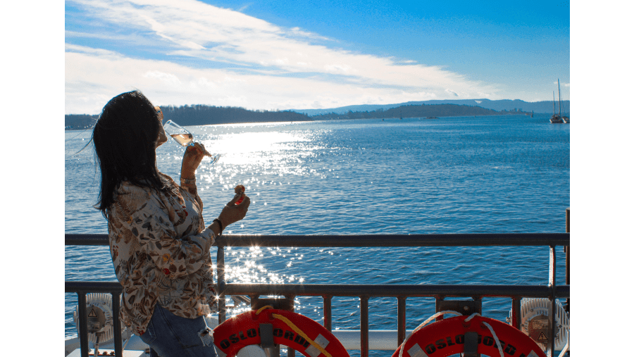 Travelers at Oslofjord