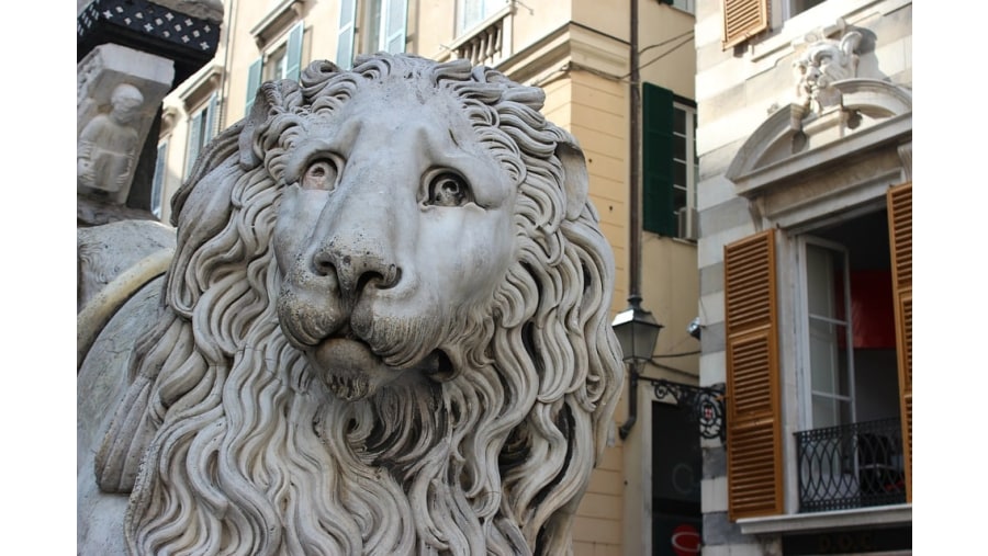 Genoa Local Street