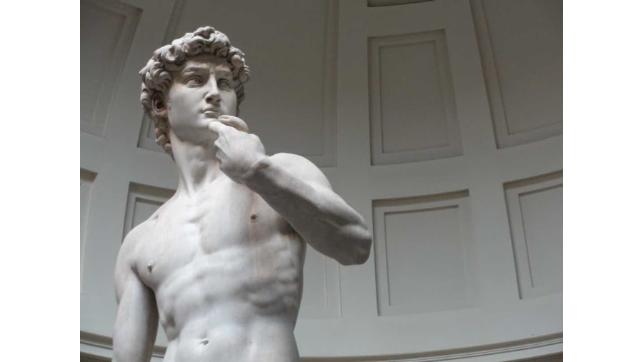 Admire the Statue of David