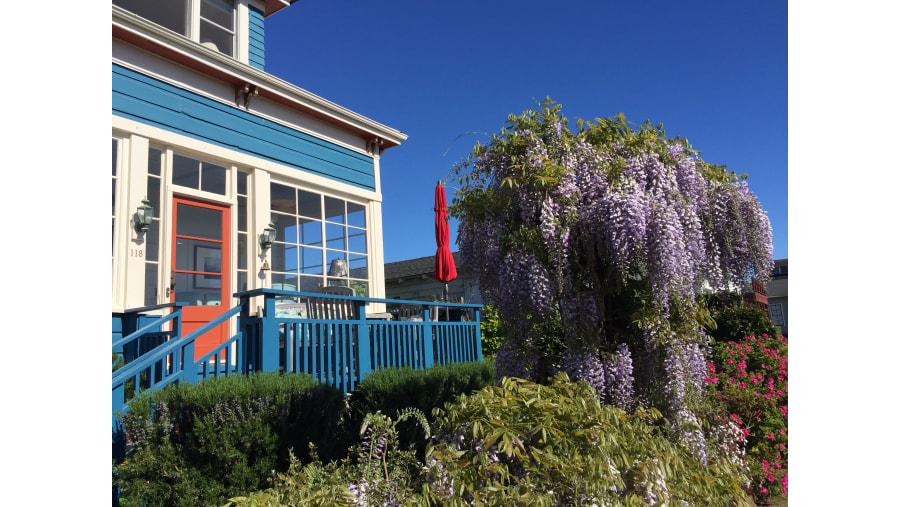 Historic oceanview bungalows.