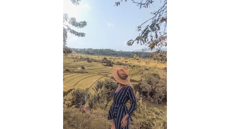 Karangasem Rice Terrace