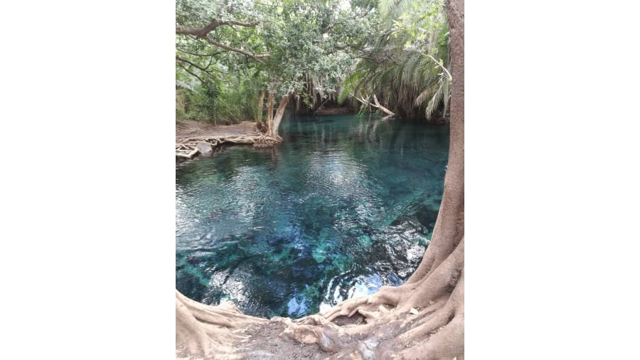 Kikuletwa Hot Spring