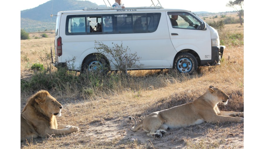 Game drive scenes