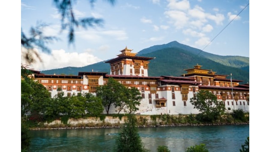 See the magnificent Punakha Dzong