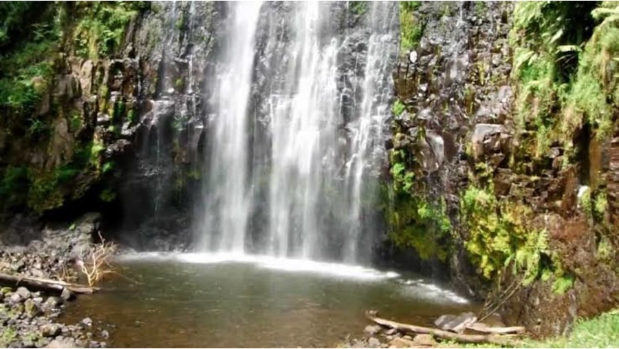 Head to the Materuni Waterfall