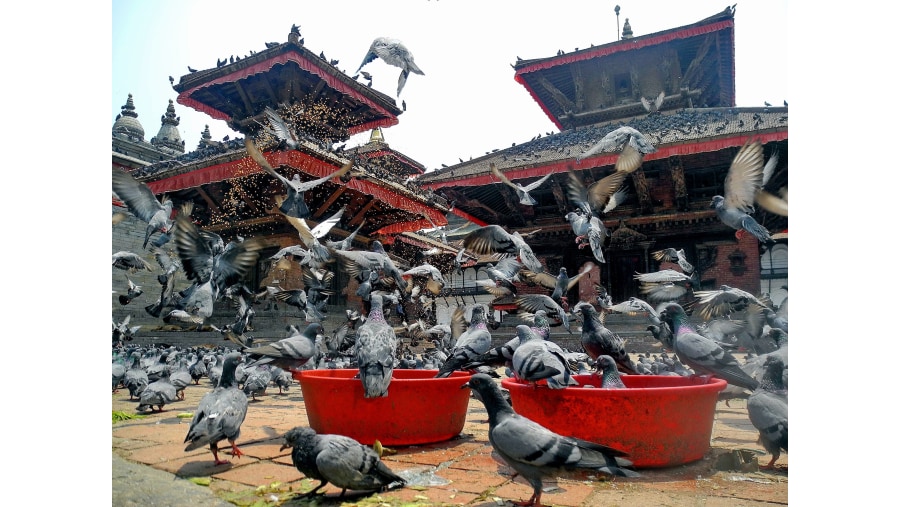 Marvel at the Kathmandu Durbar Square