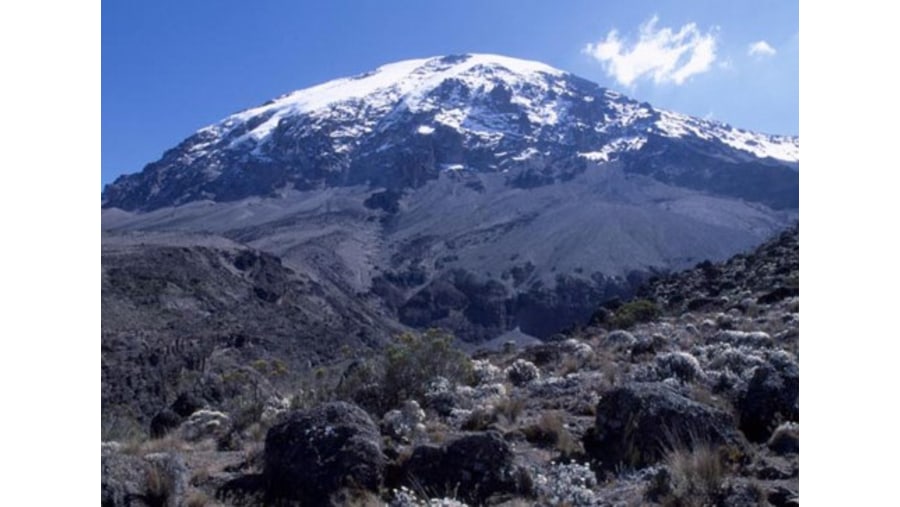 Mount Kilimanjaro Uhuru Peak - Summit