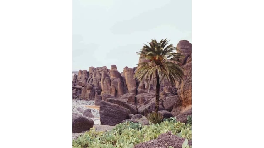 Les roches volcaniques du massif Siroua