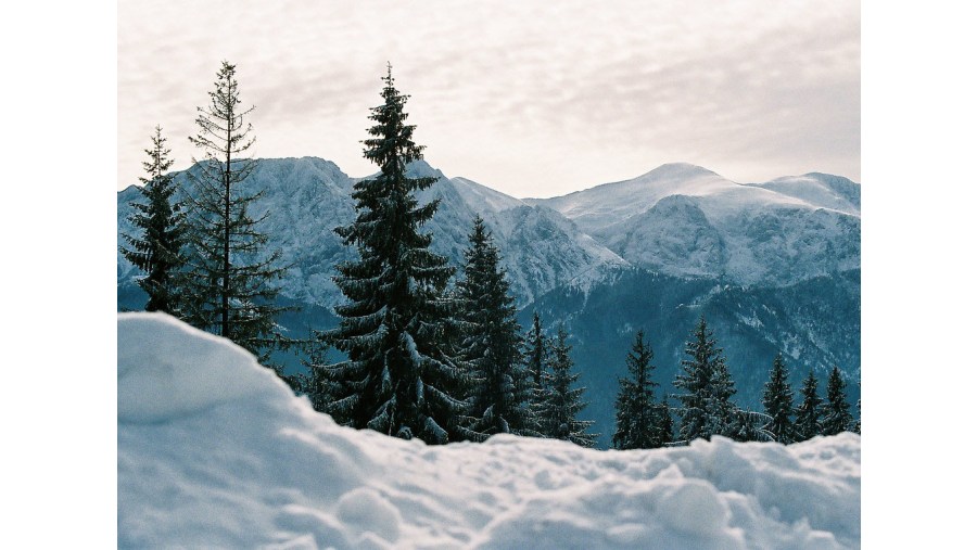 Scintilating Snow at Zakopane