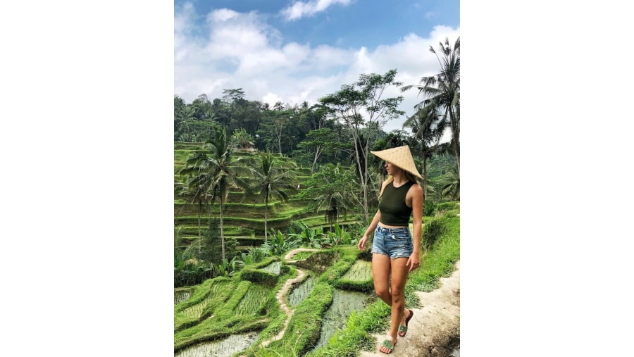 Ricefields in Tegallalang