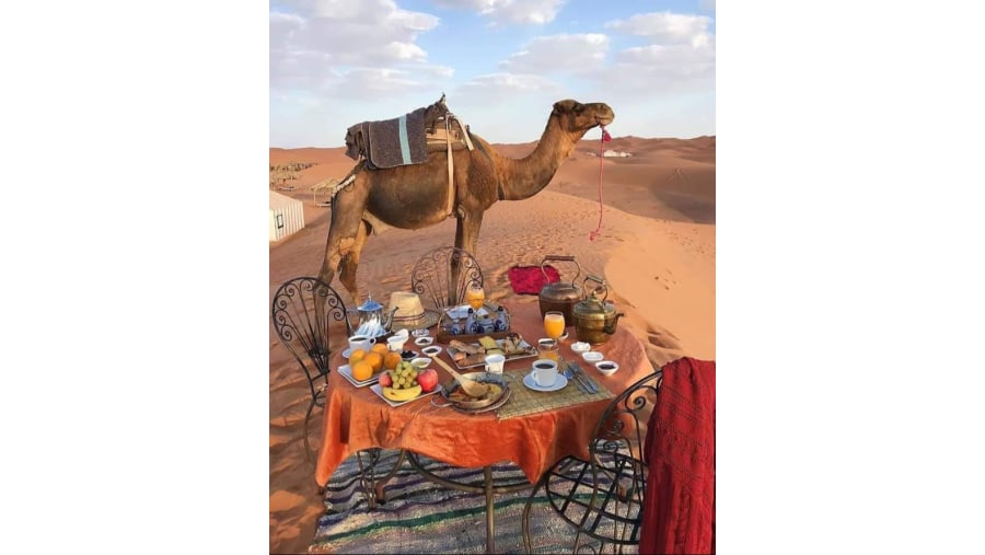 Relish a Delicious Meal in the Desert