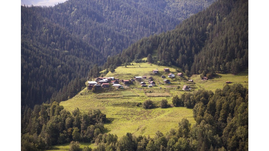 Village Qumelaurta Georgia