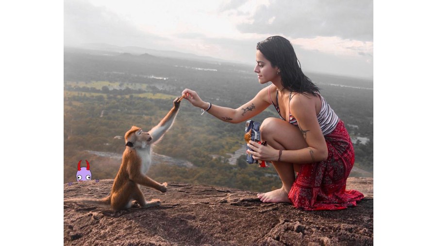 Pidurangala Rock and meeting monkeys