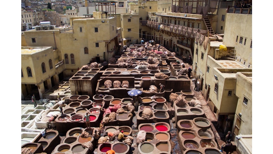 Tannery in Fez