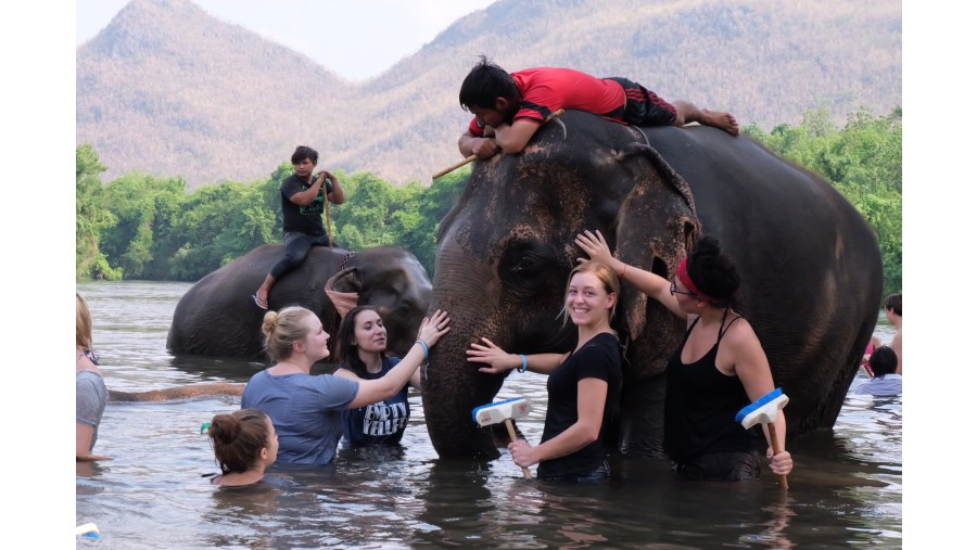 Bathe with the elephants