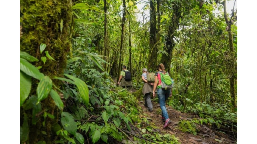 Mindo Cloud forest hike