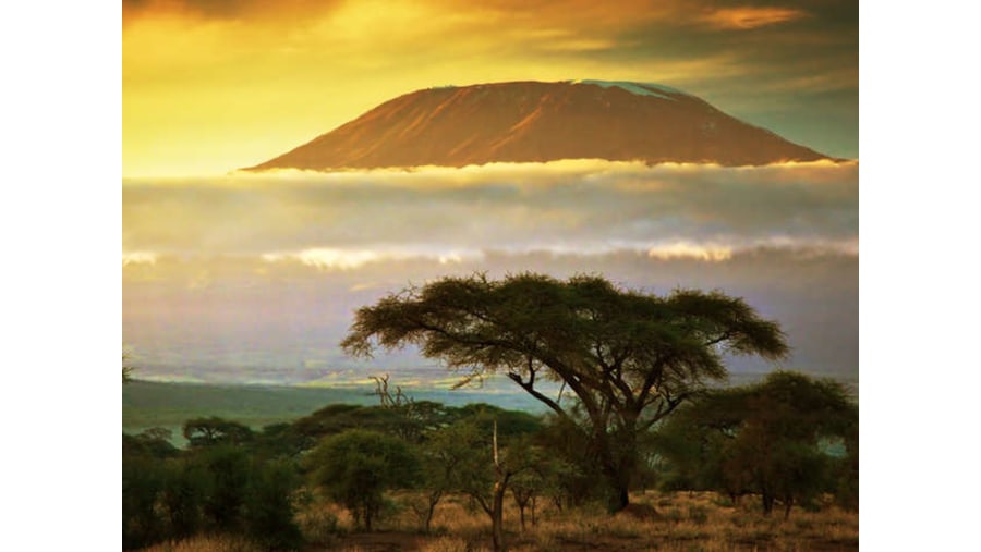 Scenic View of Mount Kilimanjaro