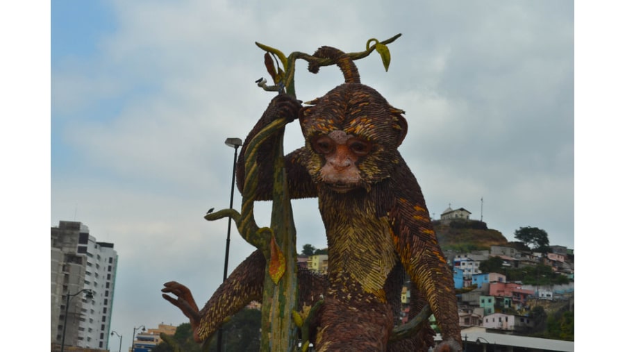 Monkey Machín Sculpture in Guayaquil