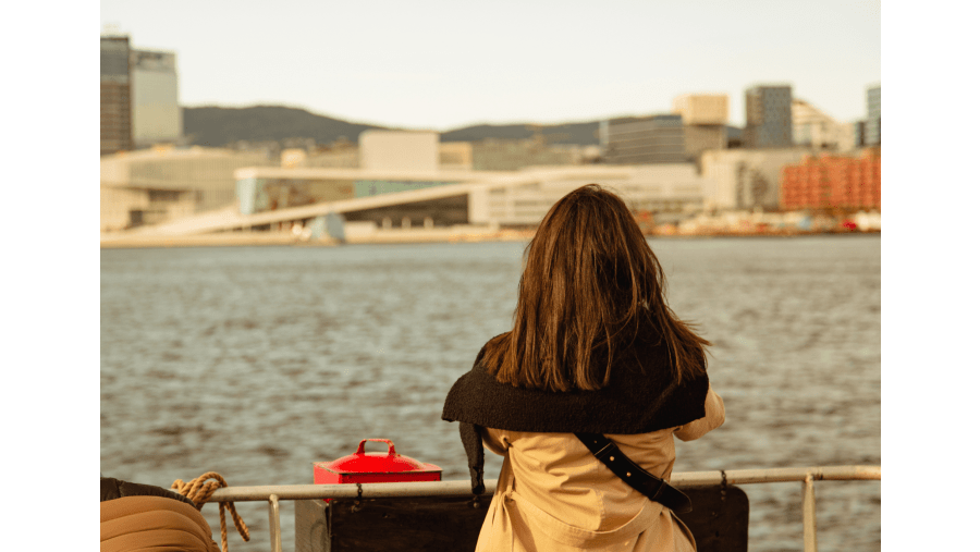 Travelers in Oslofjord