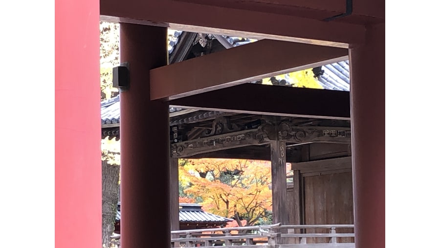 Nezu Shrine