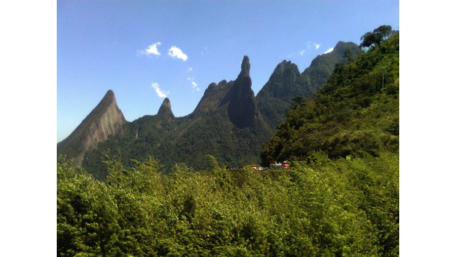 Lush Forest and Rock Formations