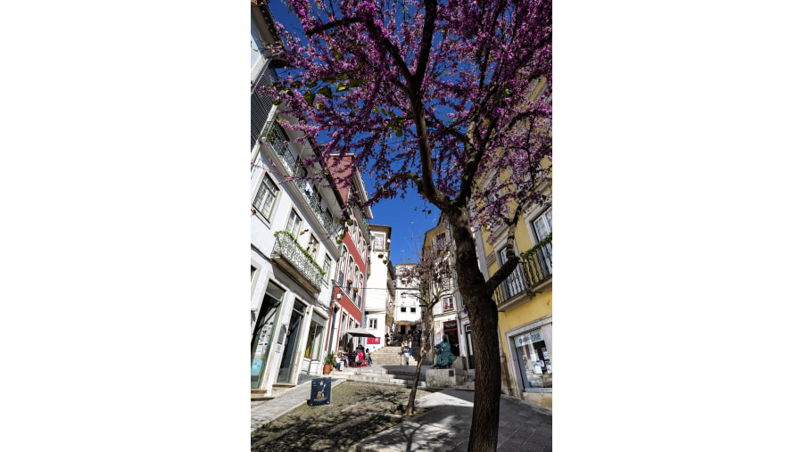 Walk on the Cobbled Streets of Coimbra