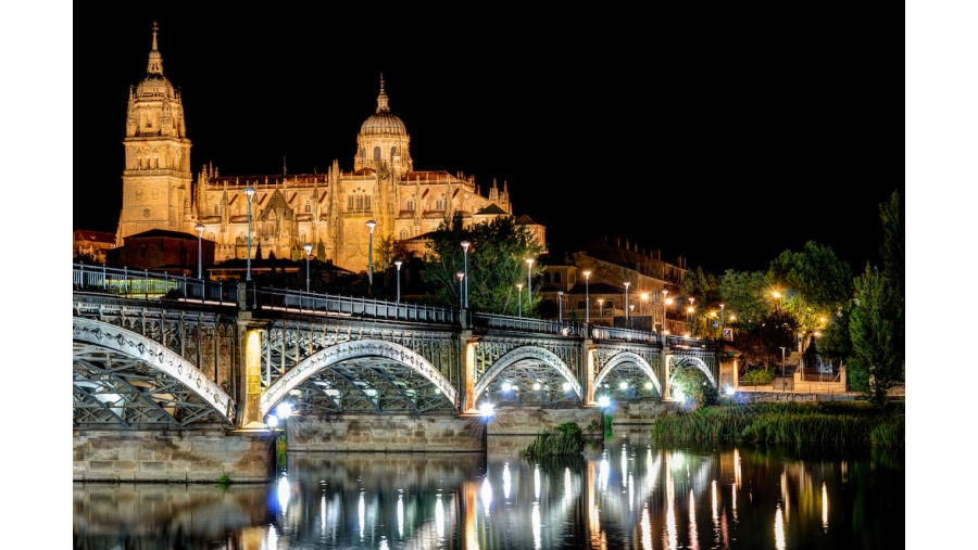 New Cathedral Of Salamanca