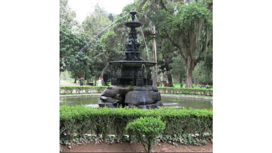 Botanical Garden & Tijuca Forest