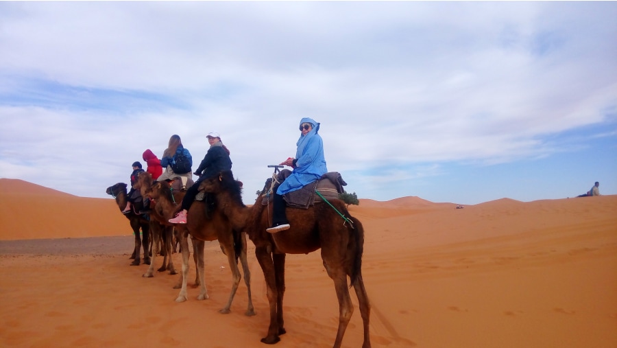 Ride Camels over Sand dunes