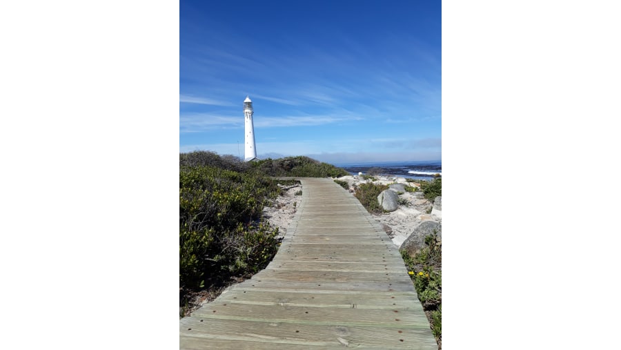 Marvel at the Slangkop Lighthouse