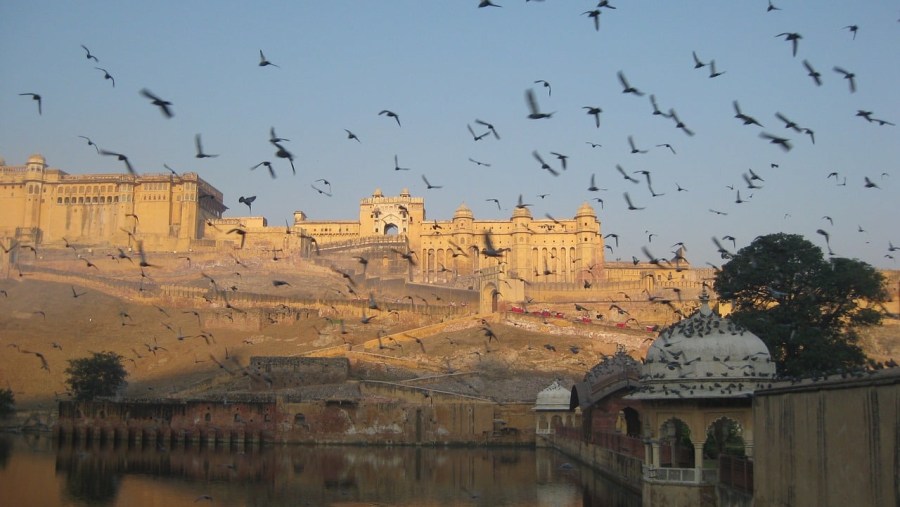 Behold the Splendid Amer Fort