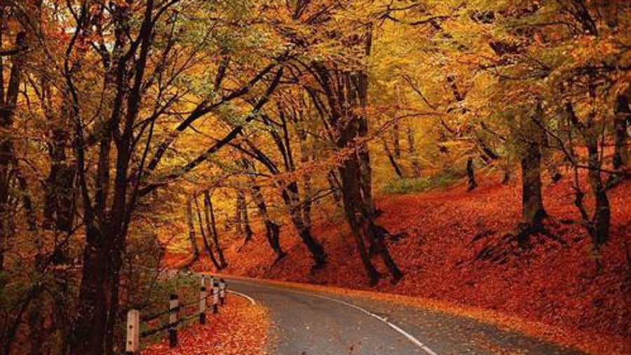 Drive through Scenic Kakheti Roads