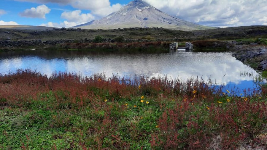 Cotopaxi Volcano