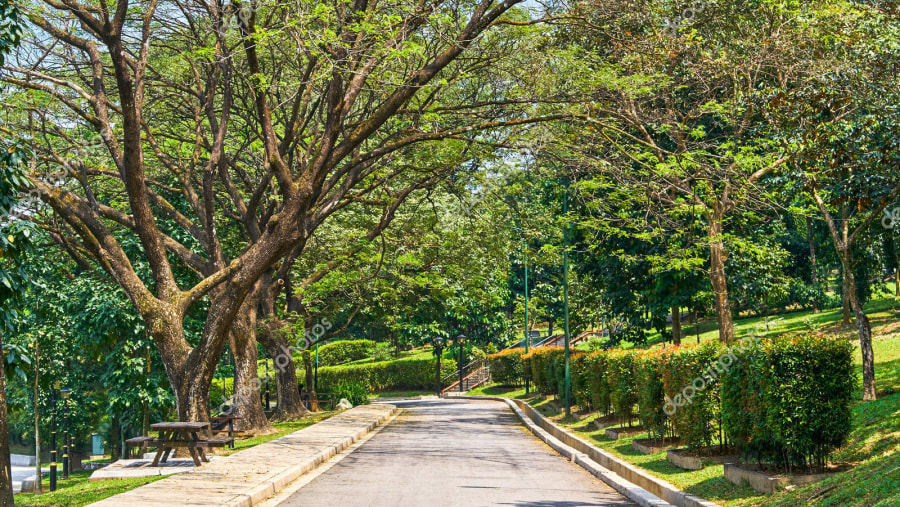 Explore the Perdana Botanical Garden